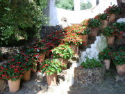 Botanischer Garten Calella de Palafrugell